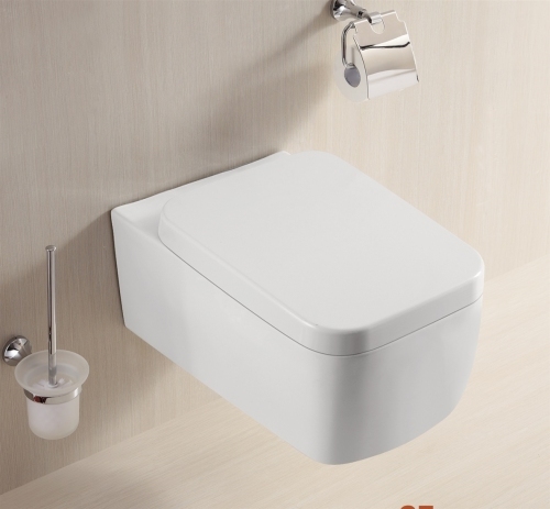 Toaleta podwieszana TP-009