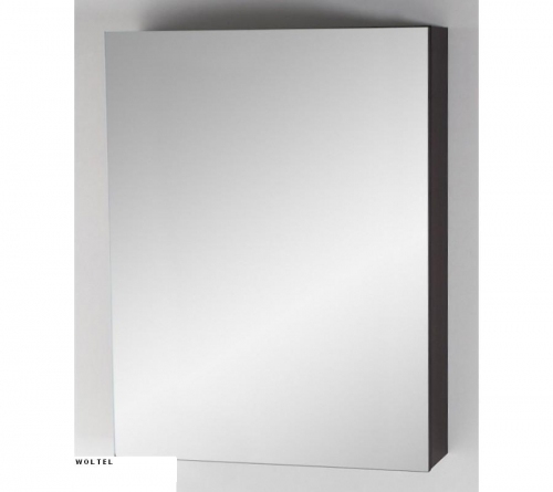 Szafka wisząca 60 cm 1-drzwiowa z lustrem FM-116CH-9017