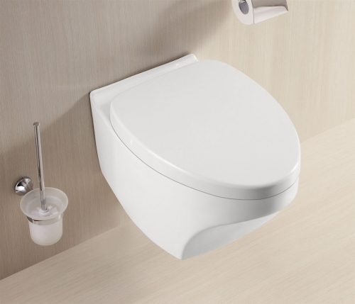 Toaleta podwieszana TP-010